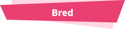 Bred